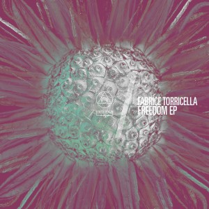 ดาวน์โหลดและฟังเพลง Take a Breat (Remix) พร้อมเนื้อเพลงจาก Fabrice Torricella