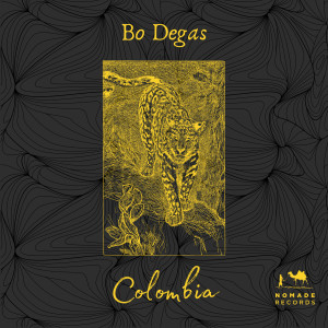 Listen to Colombia song with lyrics from Bo Degas