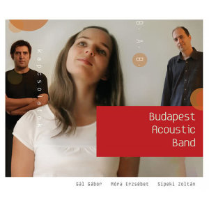 收聽Budapest Acoustic Band的Tears In Heaven歌詞歌曲