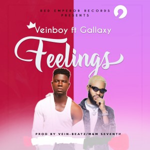 Listen to Feelings song with lyrics from veinboy