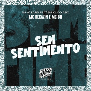 Listen to Sem Sentimento (Explicit) song with lyrics from Mc Dekazin