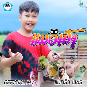 收听แมทธิว พชร的แมวเป้า歌词歌曲