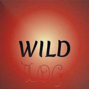 Listen to Development Role song with lyrics from Boyo Ayke