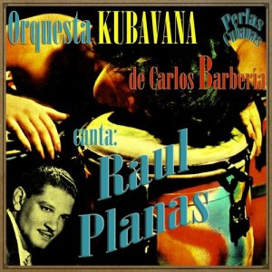 ดาวน์โหลดและฟังเพลง Se Acerca la Comparsa (Guaracha Comparsa) พร้อมเนื้อเพลงจาก Raul Planas