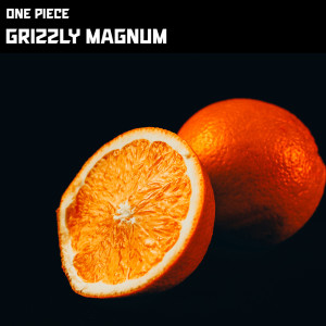 Album Grizzly Magnum from One Piece