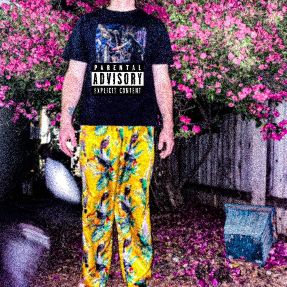 Blip (Explicit)