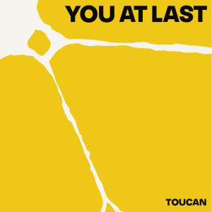 Toucan的專輯You At Last