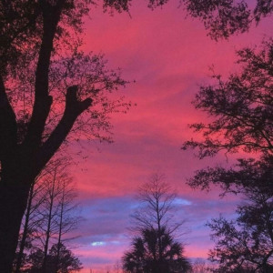 Listen to Sunset song with lyrics from BLXXDYMXNE