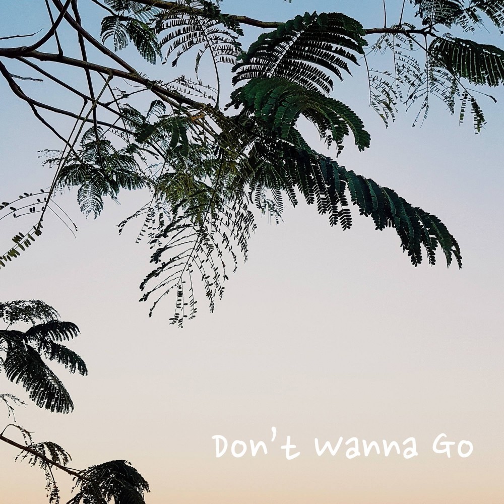 Don’t Wanna Go