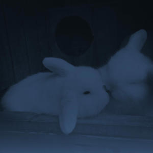 收聽Jaira的gently kisses your cheek while asleep, whispers, goodnight :)歌詞歌曲