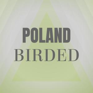 Listen to Diez Molto song with lyrics from Klea Putte