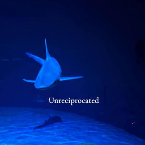 收聽Jstar的Unreciprocated (feat. cedy) (Explicit)歌詞歌曲