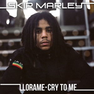 ดาวน์โหลดและฟังเพลง Cry To Me (Kustom Mike Remix) พร้อมเนื้อเพลงจาก Skip Marley