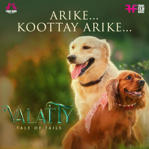 Shweta Mohan的专辑Arike Koottay Arike (From "Valatty - Tale of Tails")
