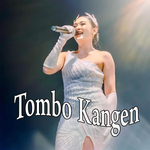 Listen to Tombo Kangen song with lyrics from Dewangkara