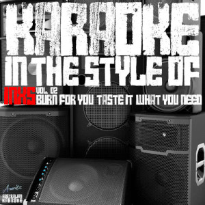 ดาวน์โหลดและฟังเพลง Kiss the Dirt (Falling Down the Mountain) [Karaoke Version] (Karaoke Version) พร้อมเนื้อเพลงจาก Ameritz Australian Karaoke