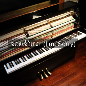 อัลบัม I'm Sorry ศิลปิน Sam Intharaphithak