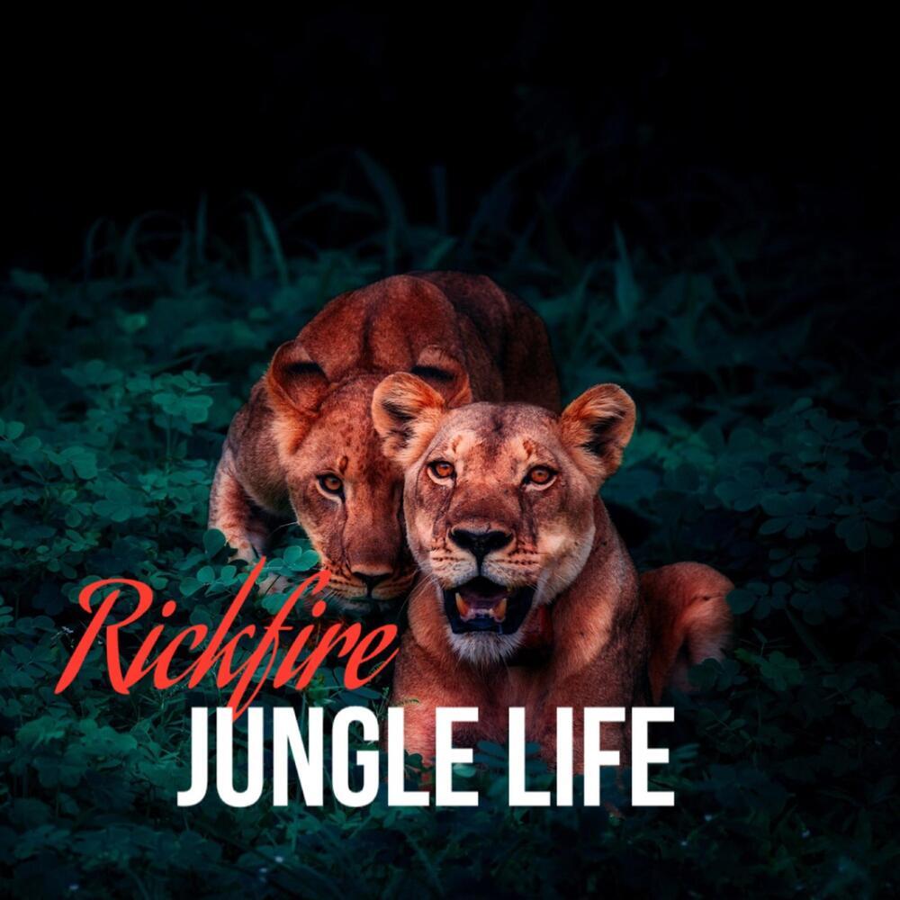 Jungle Life (Explicit)