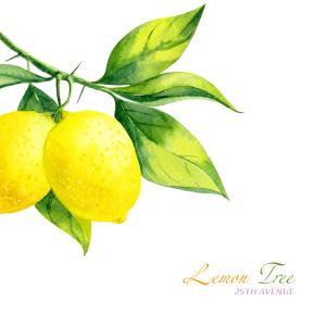 Album Lemon Tree from 25th Avenue