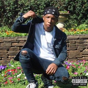 ดาวน์โหลดและฟังเพลง Deep In The Garden (feat. Orchid MusiQ) พร้อมเนื้อเพลงจาก King Zams