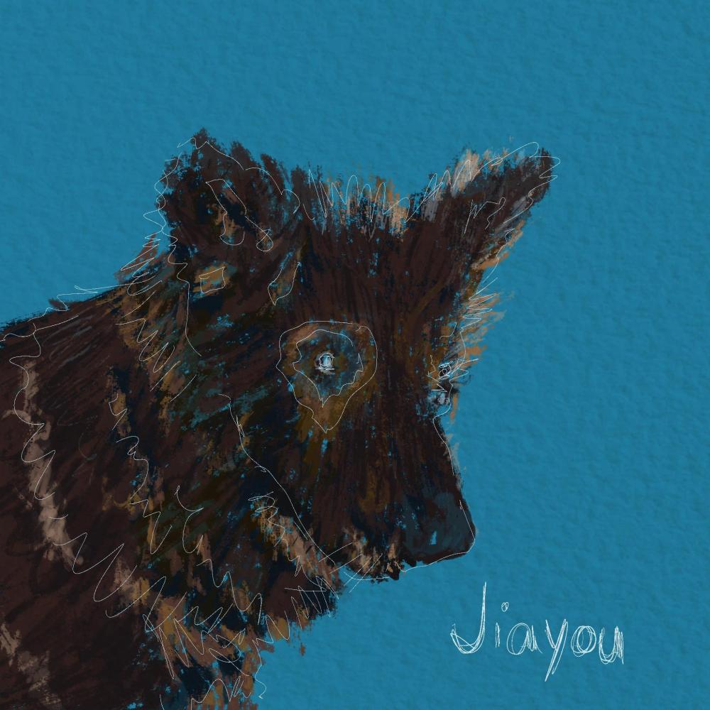 Jiayou (feat. Dubillard)