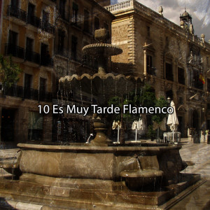 Album 10 Es Muy Tarde Flamenco oleh Instrumental