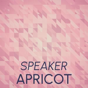 ดาวน์โหลดและฟังเพลง Outlander Youngster พร้อมเนื้อเพลงจาก Denon Rins