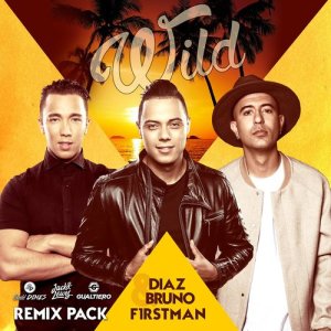 ดาวน์โหลดและฟังเพลง Wild (Gualtiero Remix) พร้อมเนื้อเพลงจาก Diaz & Bruno