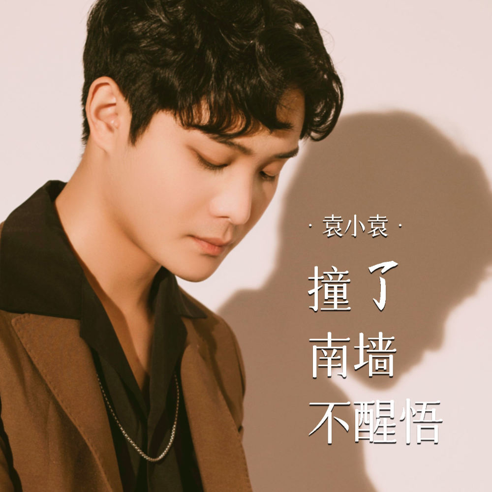 撞了南墙不醒悟