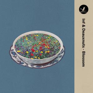 Album Blossom from Inf