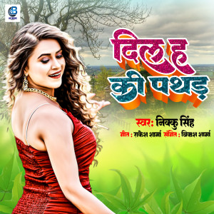 Listen to Dil H Ki Pathar song with lyrics from Nikku Singh
