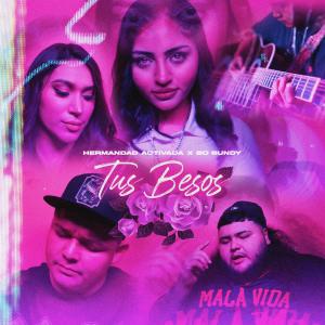 收聽Hermandad Activada的Tus Besos (Bo Bundy Remix|Explicit)歌詞歌曲