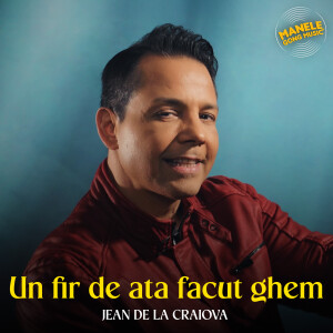 Album Un fir de ata facut ghem from Jean De La Craiova