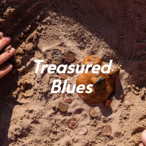 Album Treasured Blues from Various