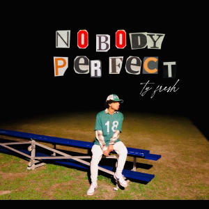 Ty Fresh的專輯nobody perfect