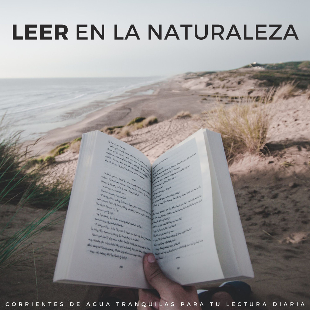 Concentrarse Y Pensar