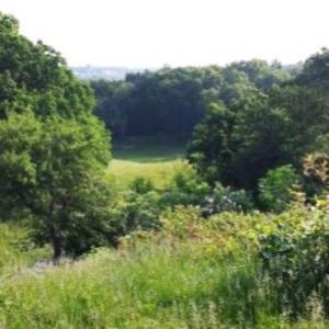 收聽.Gav的lovelorn歌詞歌曲