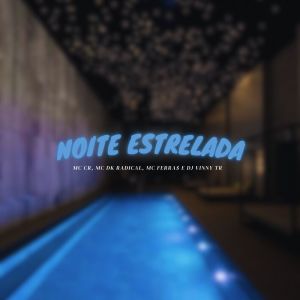 收聽DJ Vinny TR的Noite Estrelada (Explicit)歌詞歌曲