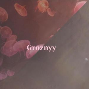 Various的专辑Groznyy
