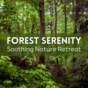 Forest Serenity: Soothing Nature Retreat