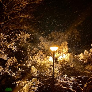 收聽Gian的Brown Life (Explicit)歌詞歌曲