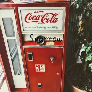 收听张酷的Sparrow歌词歌曲