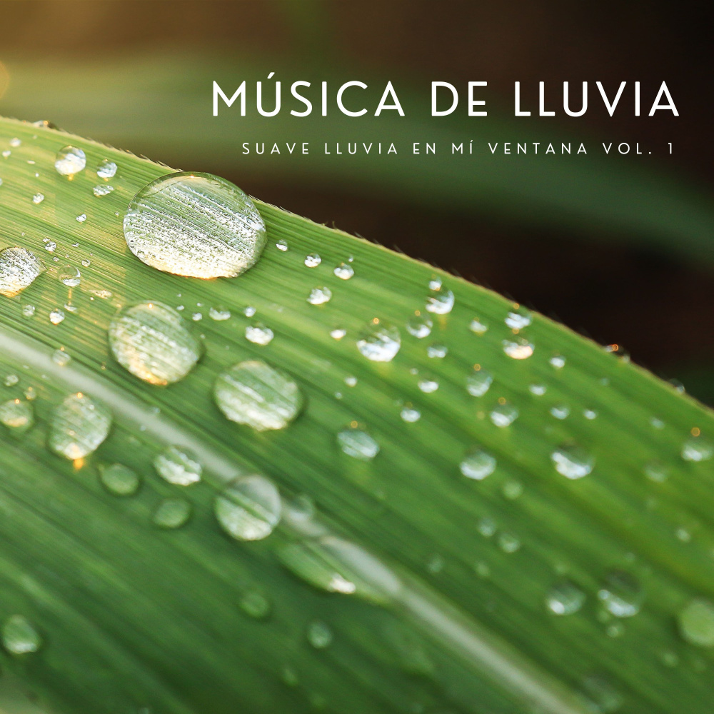 Agua De Lluvia