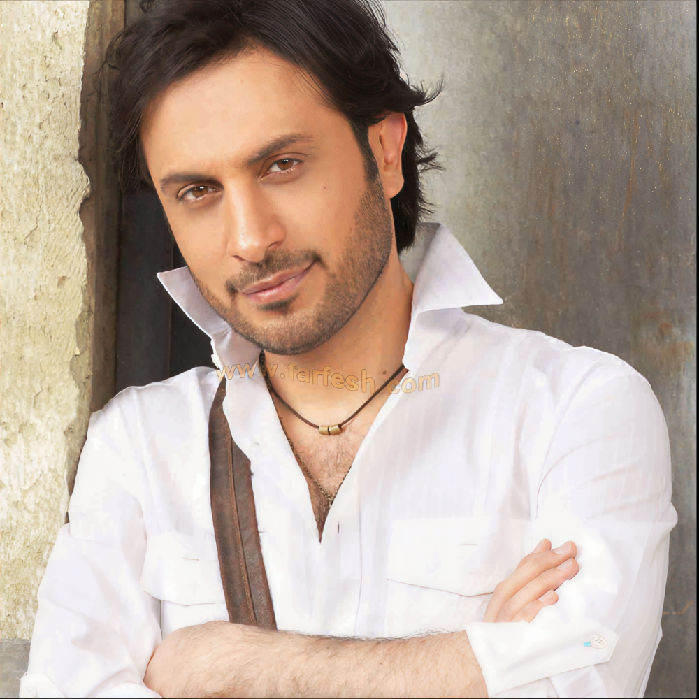 Majid Al Mohandis