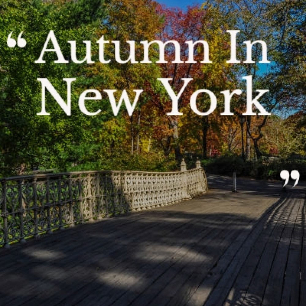 Autumn in New York