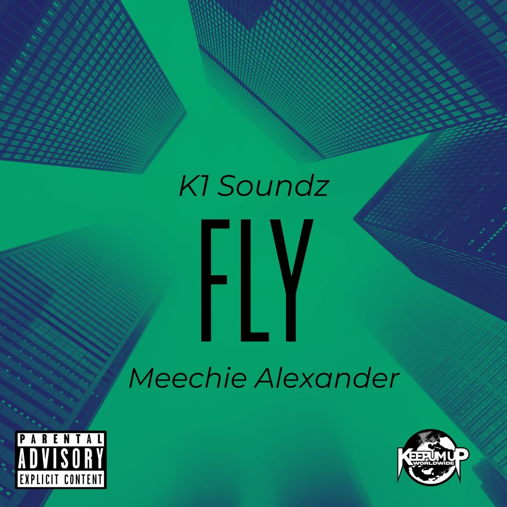 Fly (Instrumental w/o hook)