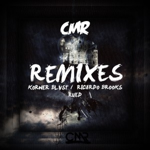Various Artists的專輯Exclusive Remixes