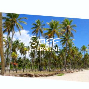 Album Stiff Hizbollah from Various