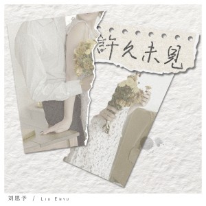 Listen to 许久未见 (伴奏) song with lyrics from 刘恩予