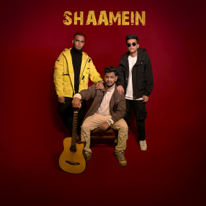 Listen to Shaamein song with lyrics from Rockstar